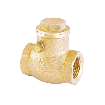 Rustproof один клапан задерживающего клапана 32mm 22mm воды пути не возвращенный